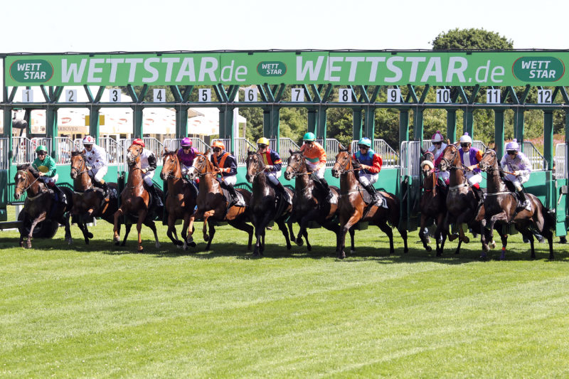 Horse Starting Gates Fornells Horse Racing